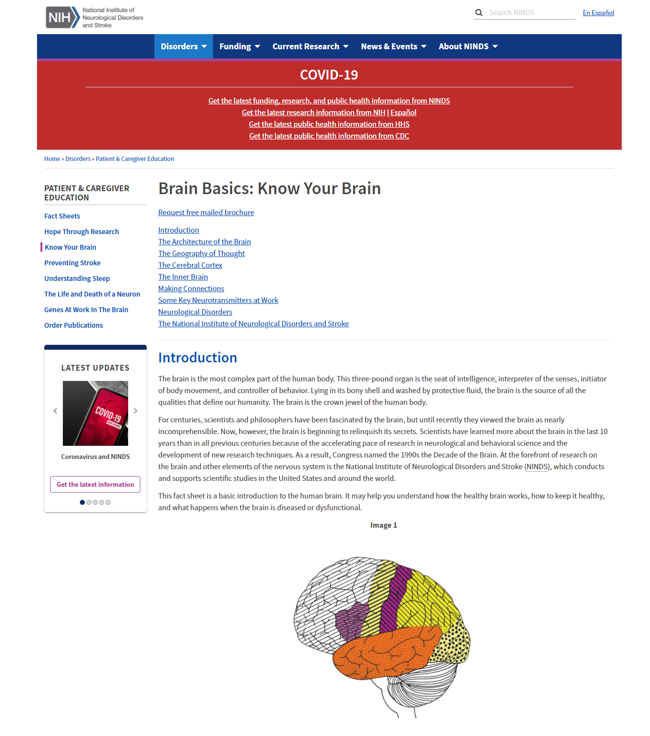 Brain Basics: Know Your Brain, National Institutes of Health