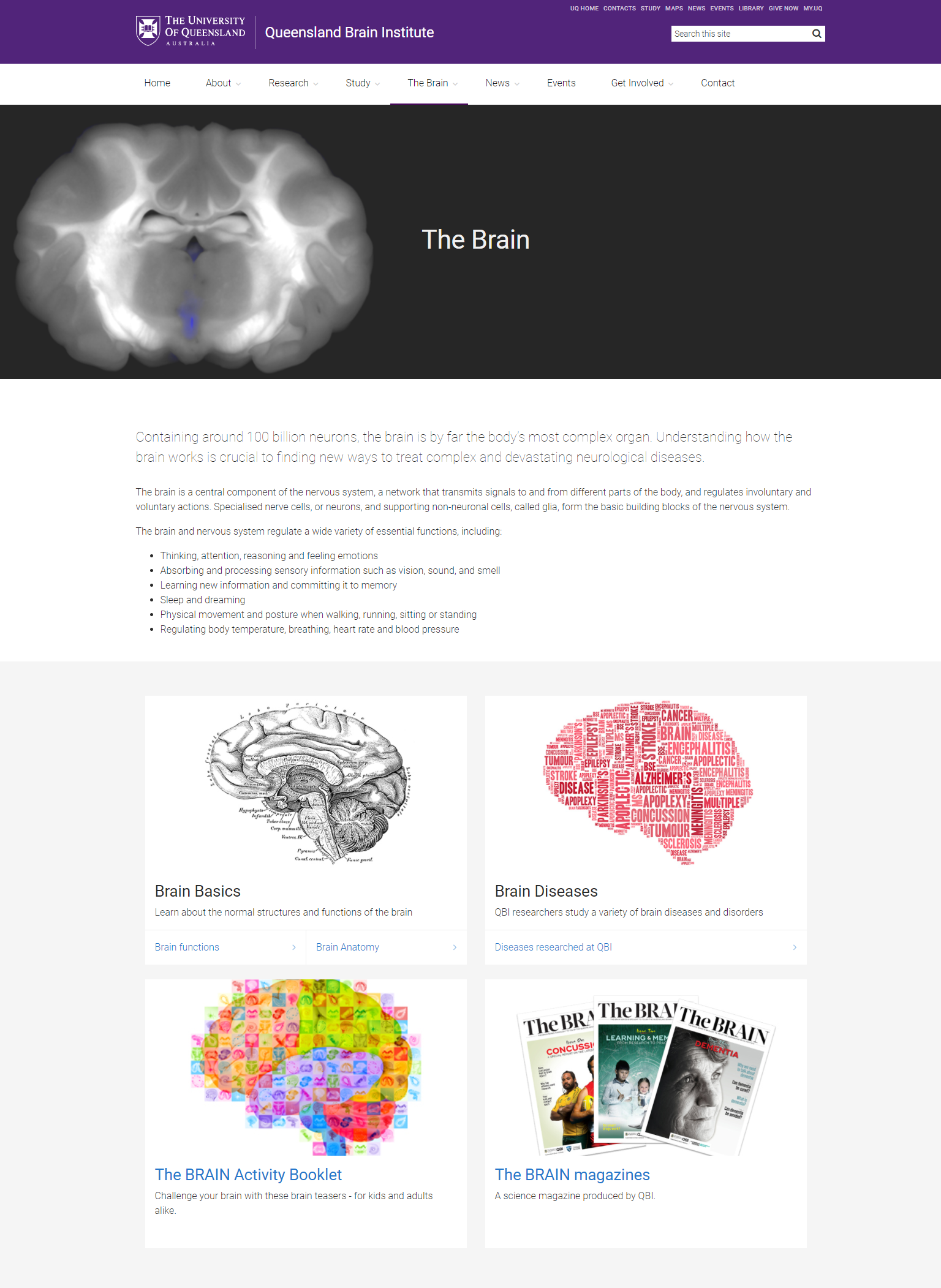 Overview of the Brain, the University of Queensland