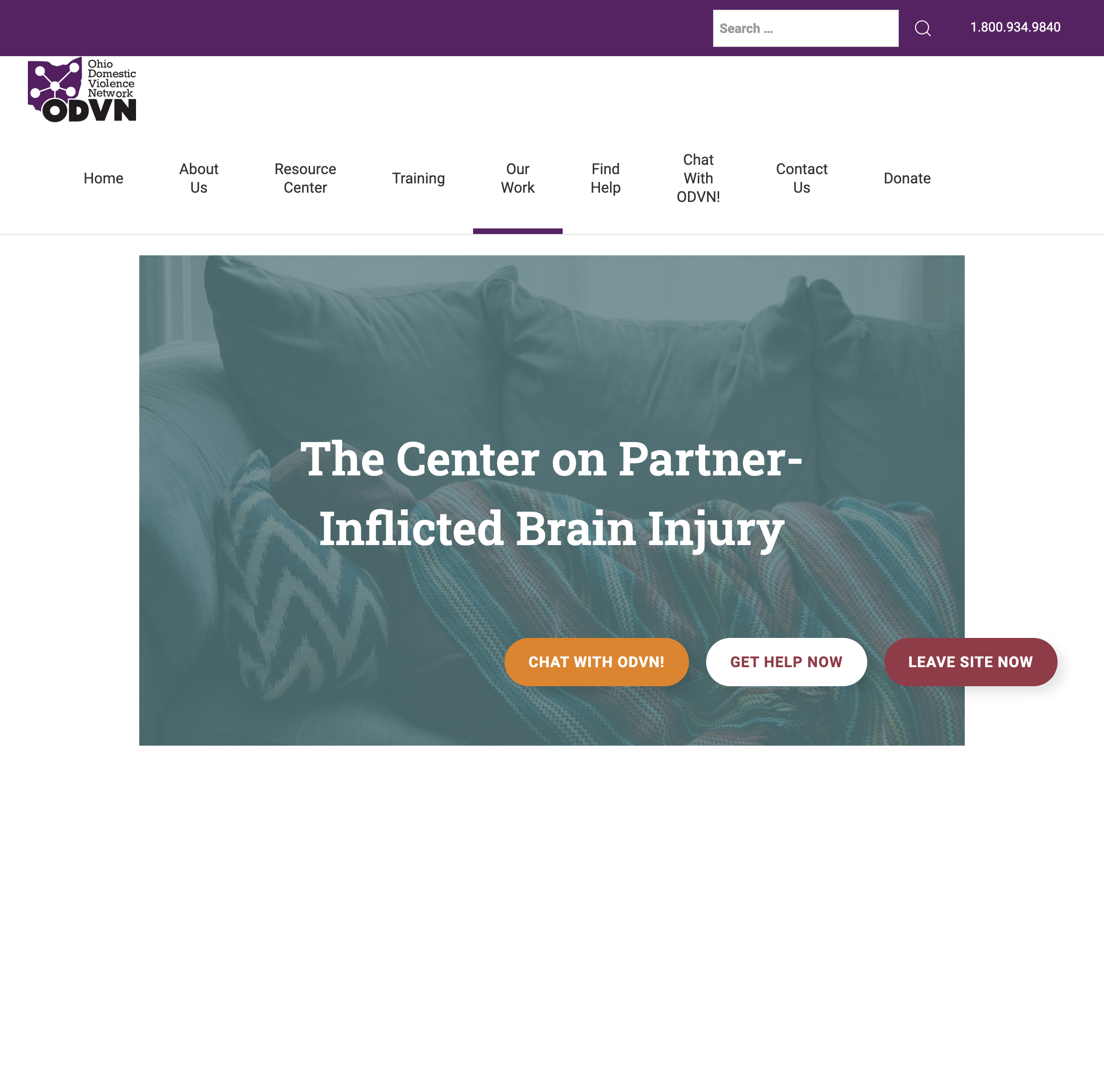 The Ohio Centre on Partner-Inflicted Brain Injury
